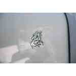 Crowline 262 cr Роял Кроун — изображение 22