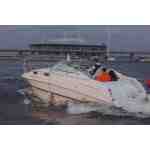 Chapparal 270 Signature Адмирал — изображение 18