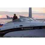 Crowline 262 cr Роял Кроун — изображение 14