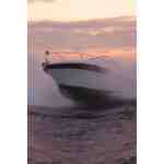 Crowline 262 cr Роял Кроун — изображение 18