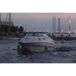 Chapparal 270 Signature Адмирал — изображение 21